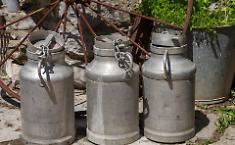 Aci Catena, i carabinieri scoprono e fanno chiudere un caseificio abusivo