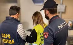 Catania, controlli nei locali del centro storico: cibo scaduto e scarse condizioni igienico-sanitarie