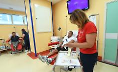 "Un gesto che non ha stagione": l'appello a donare sangue anche d&rsquo;estate