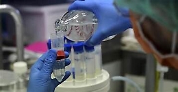 Coronavirus in Sicilia, bollettino del 29 ottobre: 789 nuovi casi e 13 morti