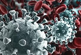 Coronavirus, cinque alunni positivi al plesso Rizzo. Scuola chiusa