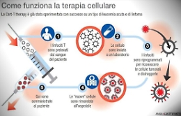 Tumori del sangue, somministrata per la prima volta in Sicilia l'immunoterapia Car-T