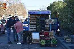 Catania, in via Acquicella commercio senza regole: multe e sequestri