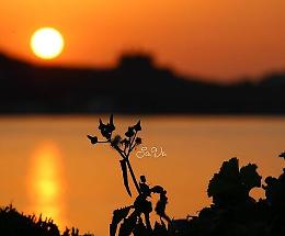 Palermo: Barcarello Sunset