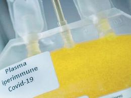 Covid, «Buoni risultati sui pazienti curati col plasma iperimmune»