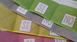 Referendum costituzionale, come hanno votato gli studenti under 30 catanesi