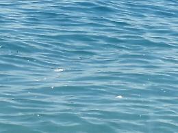 S.Teresa Riva (ME):  mare sporco