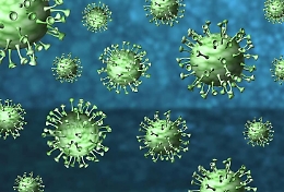 Coronavirus, positivo uno studente del linguistico Leonardo di Agrigento