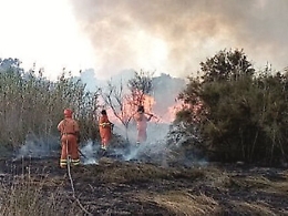 Incendio doloso nell'Oasi del Simeto: fiamme domate dopo 4 ore
