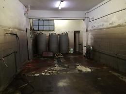 Catania, c'era anche un bimbo al lavoro nell'autolavaggio abusivo