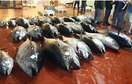 Mafia e commercio del pesce, arrestato a Roma imprenditore di Gela