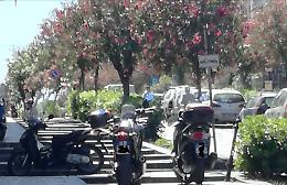 Catania, parcheggi in Via di Sangiuliano: "Che inciviltà e che arroganza!"