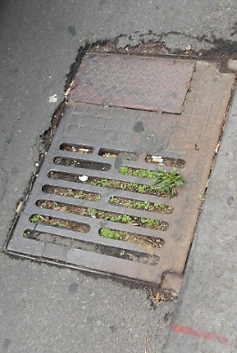 Catania: mancata pulizia delle caditoie in Via del Bosco