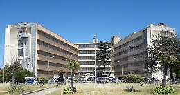 Pidocchi su un cadavere all'obitorio dell'ospedale di Milazzo