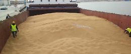 Nave carica di grano "sospetto" a Pozzallo, Corrao (M5s) chiede controlli rigidi
