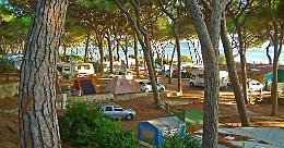 Fase2, campeggi, cinema, spettacoli, sagre e altro: tutte le nuove aperture