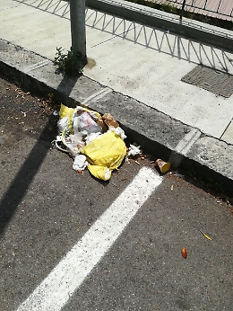 Via Nuovalucello a Catania: la strada è nuova, ma anche la spazzatura abbandonata