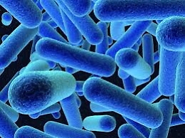Rischio Listeria, la Coldiretti: «No ad allarmismi»