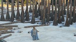 "Troiane", sullo sfondo di un bosco "morto" la speranza che va oltre le rovine