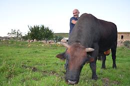 «La ricchezza della Sicilia? L'emozione di fave e ricotta»