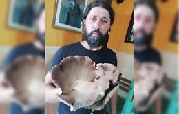 Bronte, nuovo colpaccio del "funciaro" Maurizio Currenti: un fungo di Ferla di 4 chili