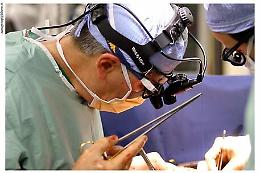 Ismett di Palermo primo in Italia per trapianti con organi marginali