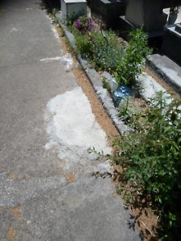 Degrado al cimitero monumentale di Catania