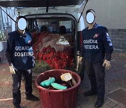 Riposto, pescavano di frodo dentro il porto