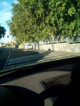 Catania: semaforo pedonale ostruito dai cassonetti in via Sebastiano Catania