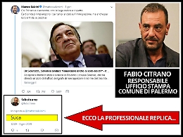 Decreto sicurezza, "S.....a" a Salvini su Fb da addetto stampa Orlando