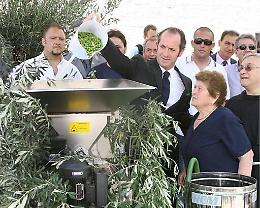 E l&rsquo;Ue d&agrave; il via a 35 mila tonnellate di olio tunisino