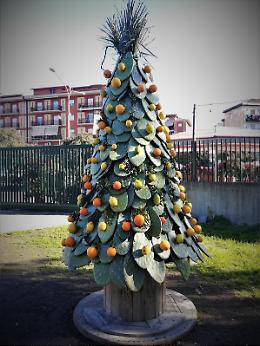 Catania: studenti realizzano un albero di Natale, versione "Sicilian style"