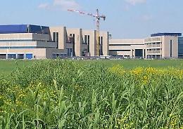 Catania, St Microelectronics d&agrave; il via alla cassa integrazione per 2024 persone