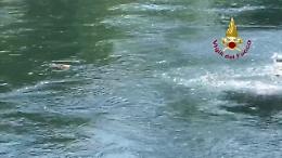 Un riccio in acqua: vigili del fuoco si tuffano nel Naviglio Grande e lo salvano