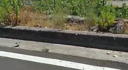 Catania: la strada statale 284 Occidentale Etnea è uno schifo!