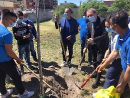 Catania: 1000 alberi per Paternò. oggi in via Scala Vecchia