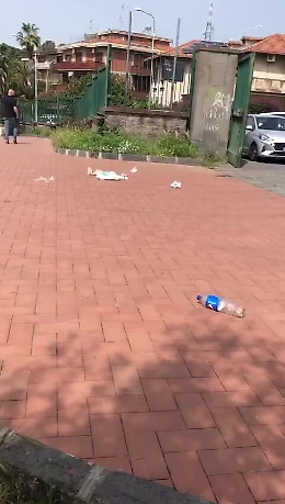 Catania: degrado al Parco Gioeni