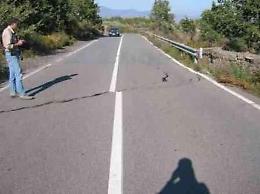 Etna, spiegato lo “scivolamento” del fianco del vulcano: dipende dal sistema di faglie della Pernicana