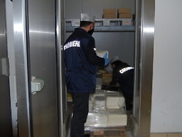 Palermo, sequestrate 3 tonnellate di cagliata e 70 forme di formaggio a Palermo