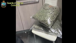 Marijuana sequestrata a Catania, il video della Guardia di Finanza