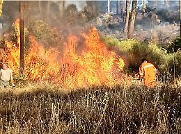 La Sicilia brucia, arrivano aiuti da altre regioni