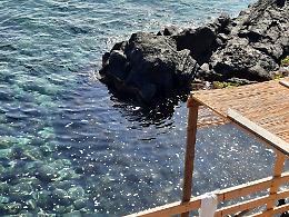 Acireale: bollicine sporcano il mare di Stazzo