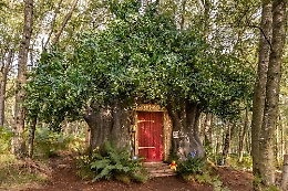 Una vacanza a casa di Winnie The Pooh: ora è possibile con AirBnb