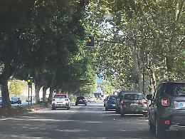 Catania: semaforo pedonale coperto da alberi in viale Ulisse