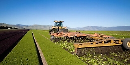 EIT Food chiude il suo primo anno di attivit&agrave;: &ldquo;&Egrave; stata e sar&agrave; ancora un&rsquo;occasione importante per la Sicilia&rdquo;