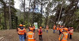 Stipendi arretrati in arrivo per i forestali siciliani