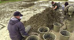 Trovati i resti di cinque soldati Usa caduti nel '43 in Sicilia