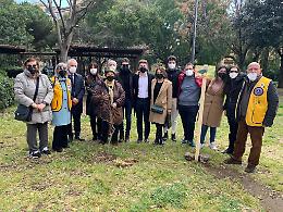 Catania: piantati nove alberi di melograno al parco Falcone