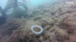 Ambiente: i sacchetti di plastica continuano a fare danni
