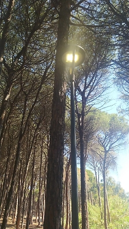 Catania: luci accese in pieno giorno al boschetto della Playa